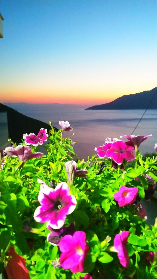 Apartment Alkyon Agios Vasilios (Boeotia)