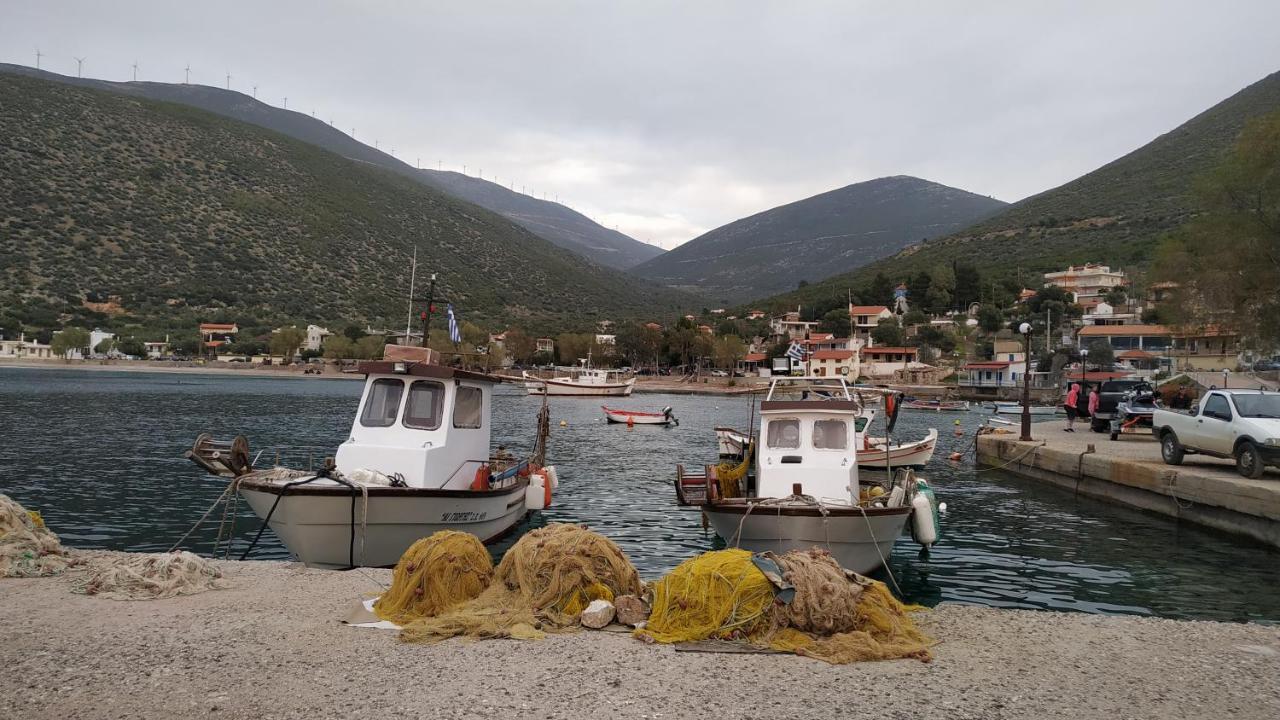 Alkyon * Agios Vasilios (Boeotia)